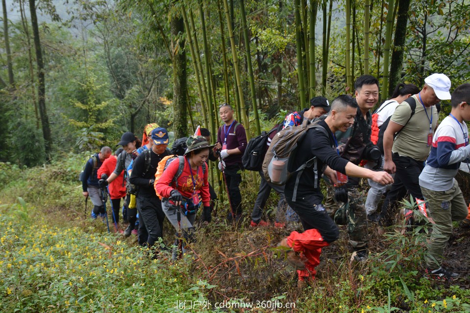 微信图片_20181022104313