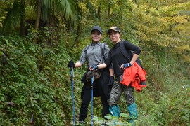 微信图片_20181022104350