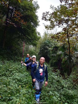 微信图片_20181022104414