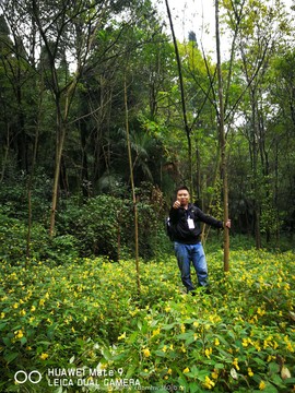 微信图片_20181022104432