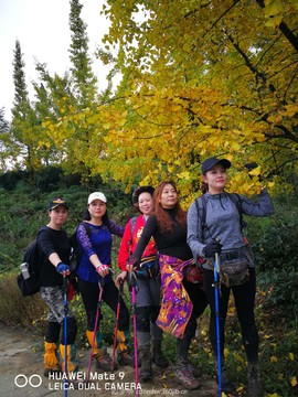 微信图片_20181022104453