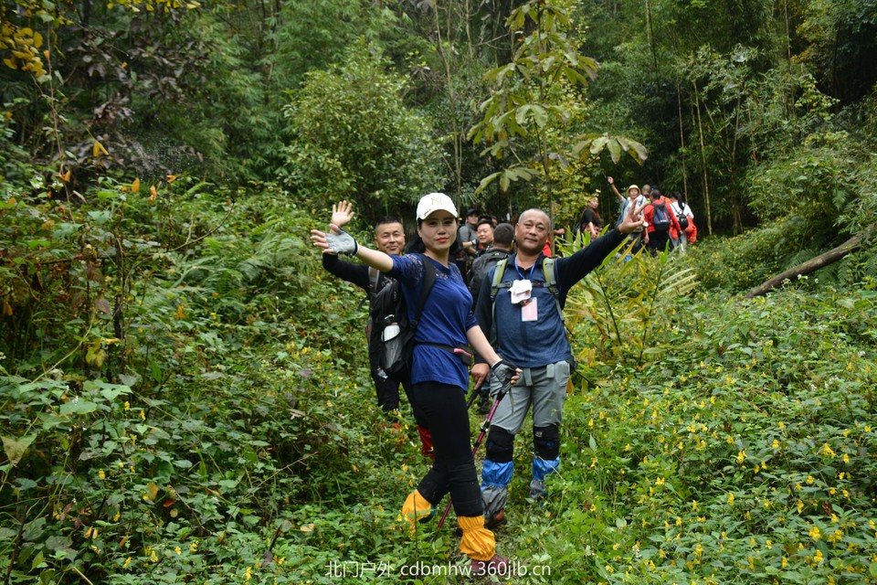 微信图片_20181022104455