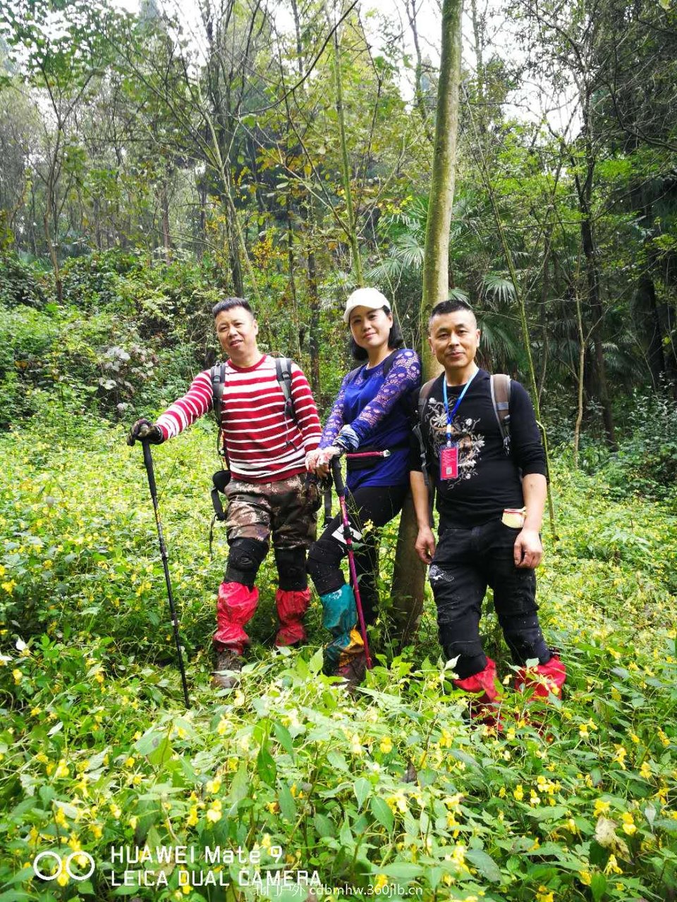 微信图片_20181022104459