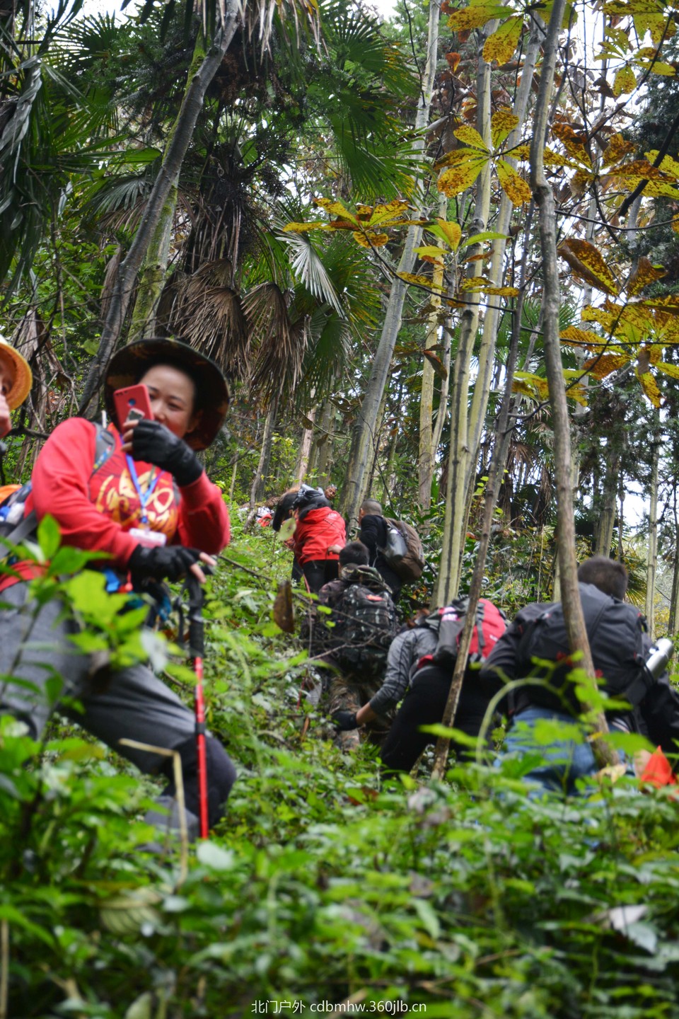 微信图片_20181022104511