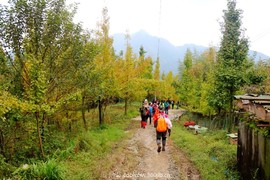 微信图片_20181022104517