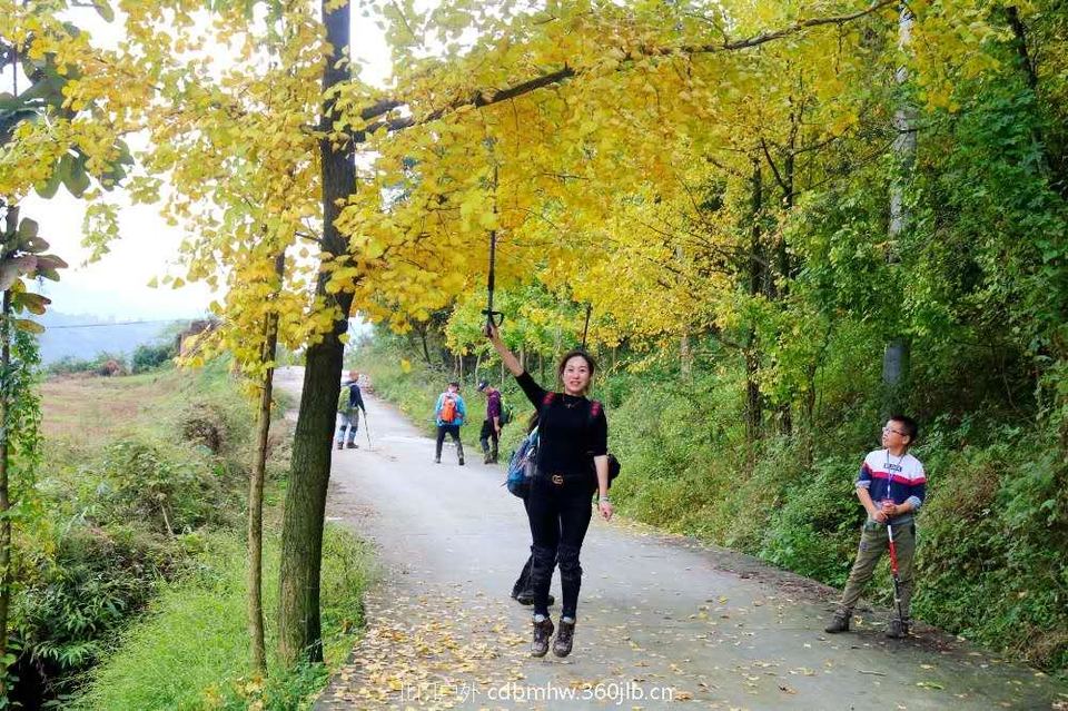 微信图片_20181022104532