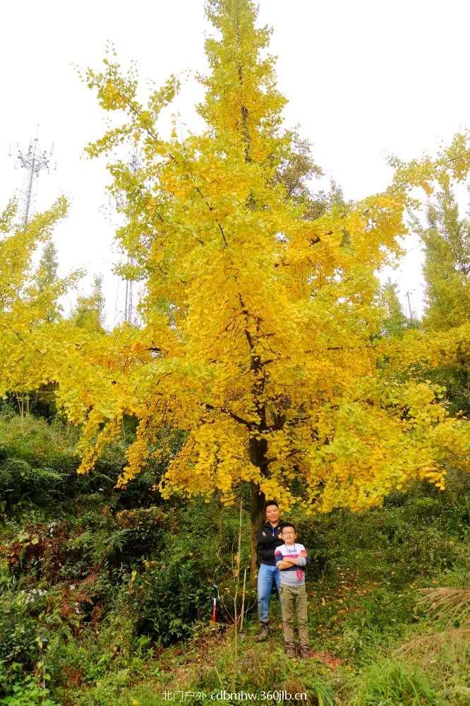 微信图片_20181022104536