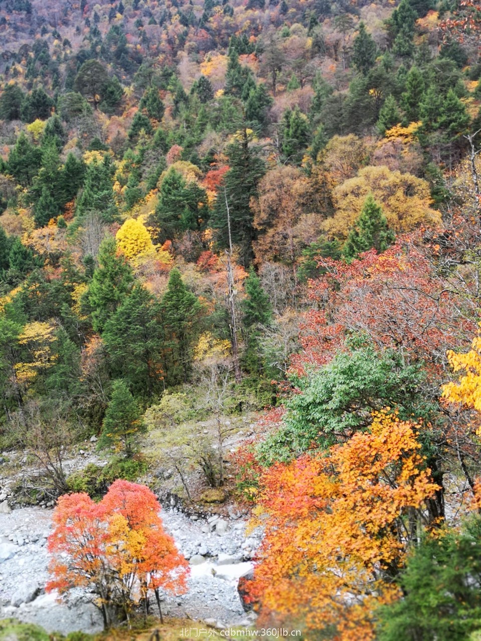 微信图片_20181025103953