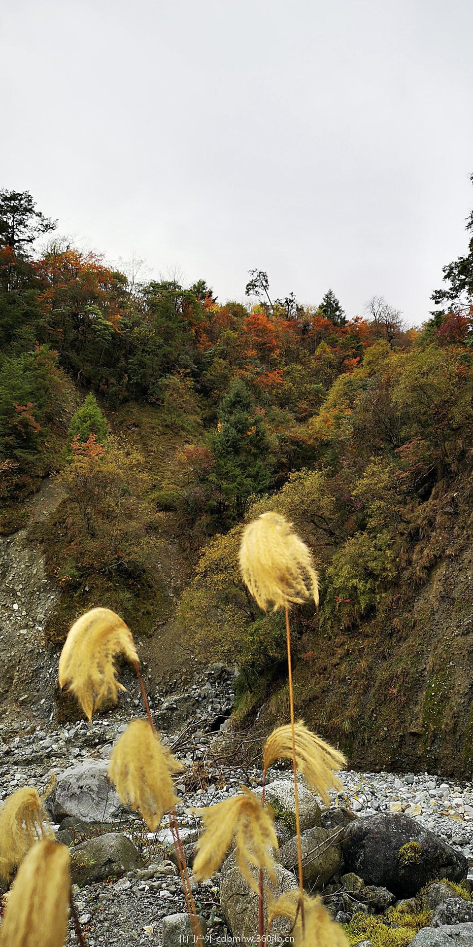 微信图片_20181025103956