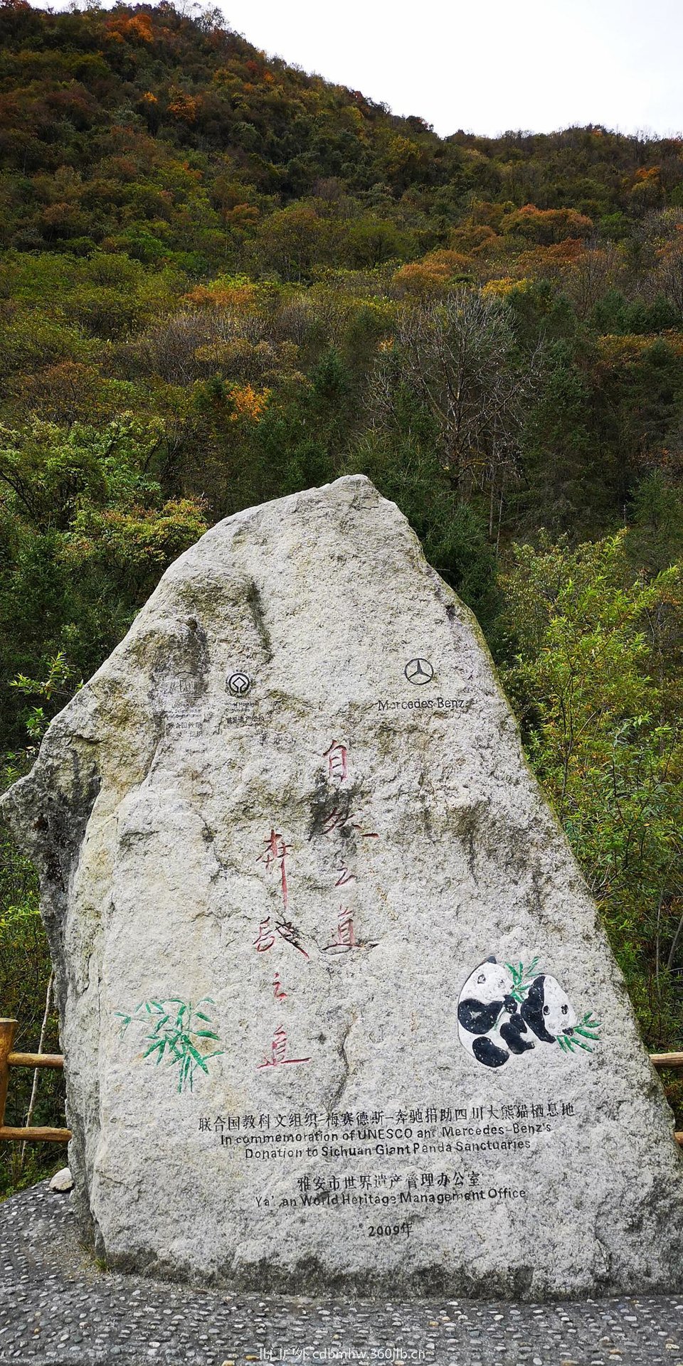 微信图片_20181025104024