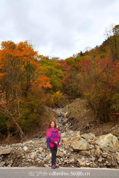 微信图片_20181025104042