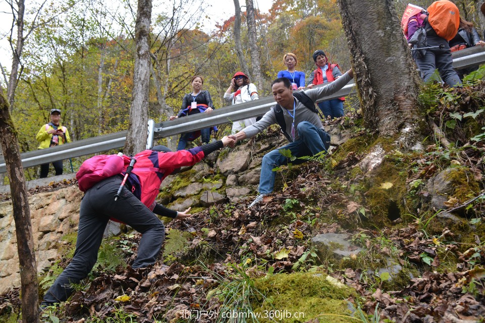 微信图片_20181025104223