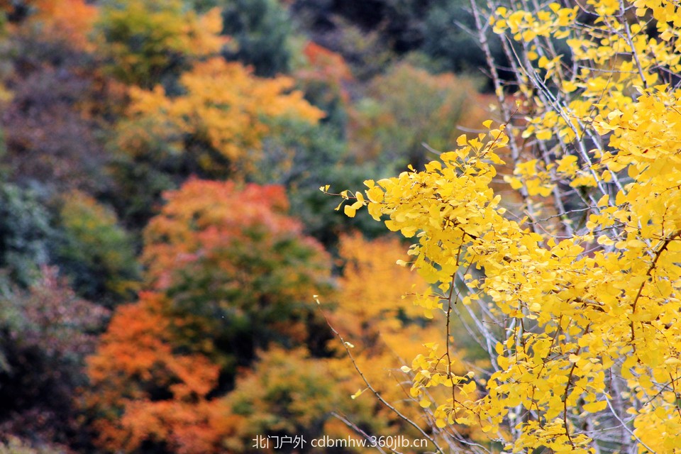 微信图片_20181025104326