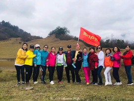 mmexport1541254809081