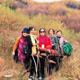 mmexport1541254792321