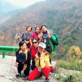 mmexport1541254784228