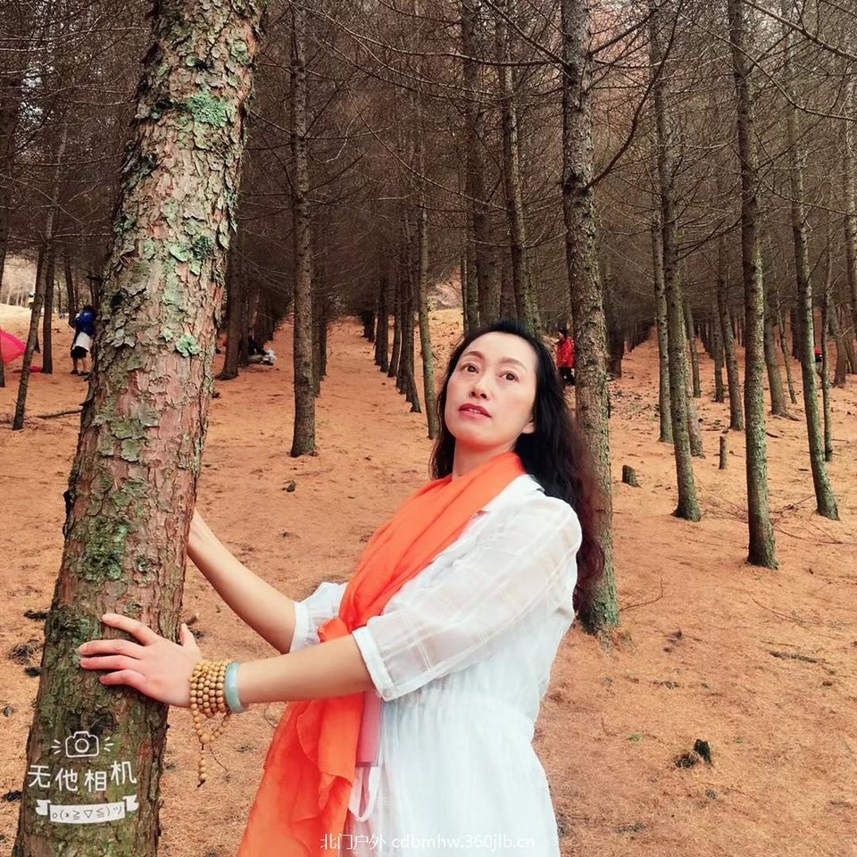 mmexport1541257620755