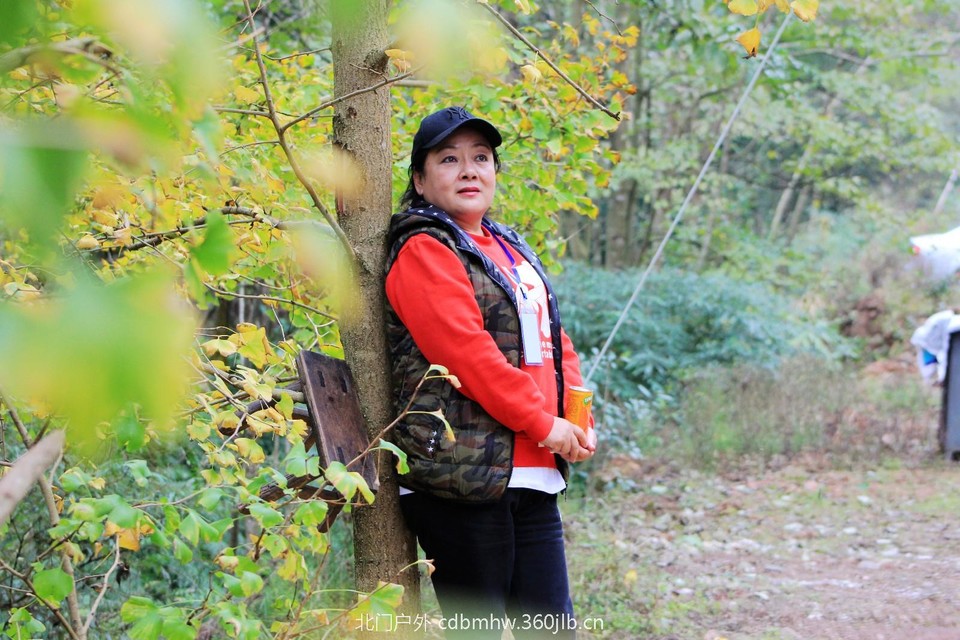 mmexport1541594852587