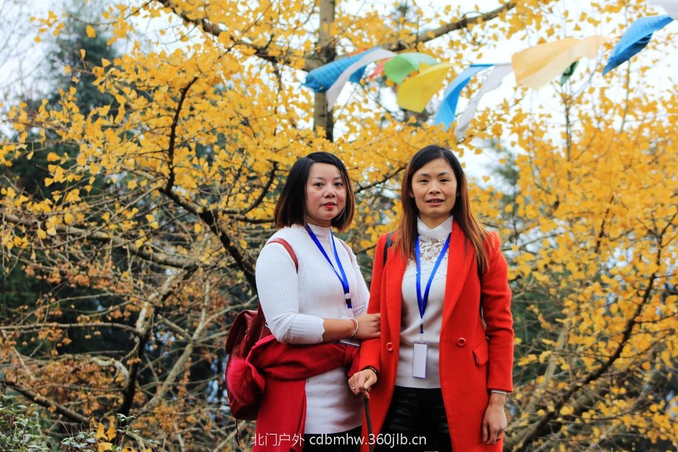 mmexport1541594748046