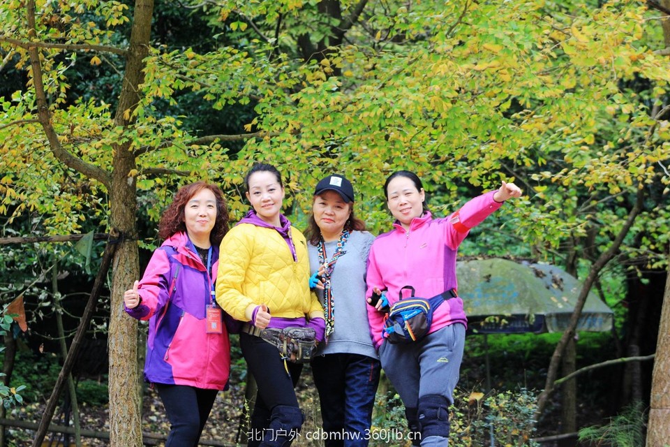 mmexport1541594771622