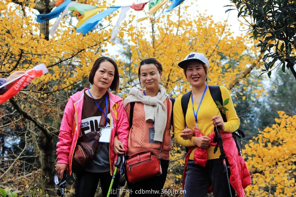 mmexport1541594661481