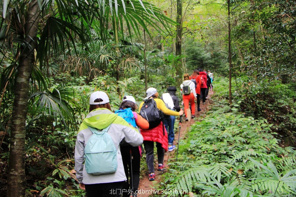 mmexport1541594321425