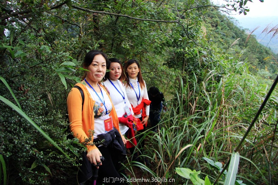 mmexport1541594269865