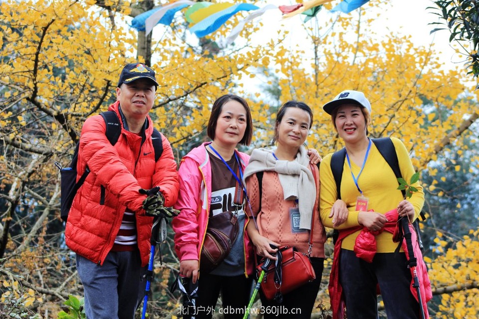 mmexport1541594100428