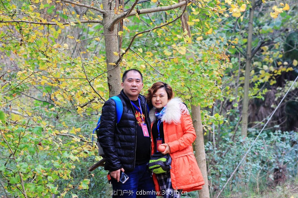 mmexport1541593957581