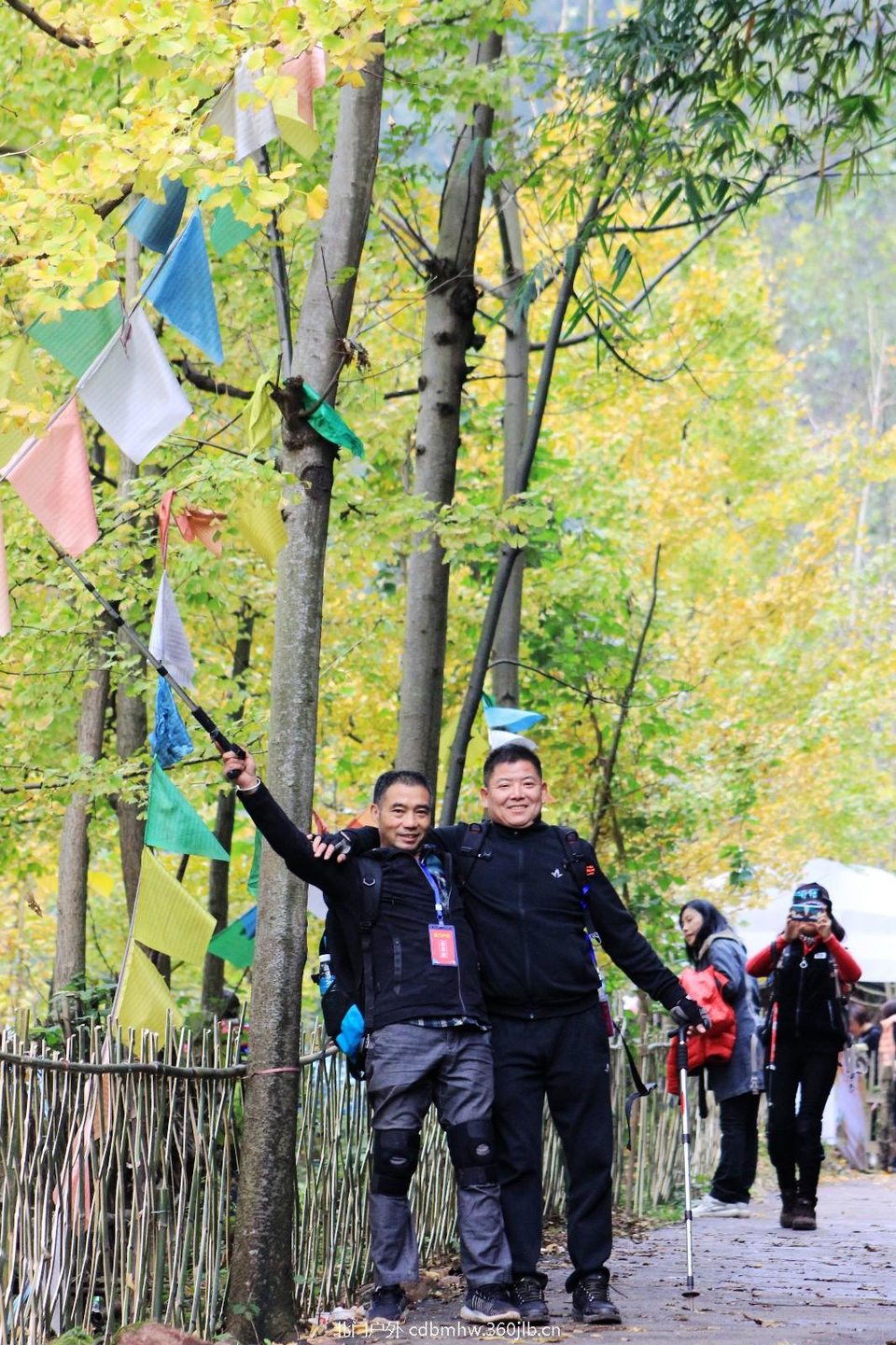 mmexport1541593878056