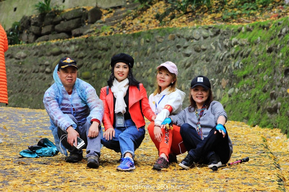 mmexport1541593764802