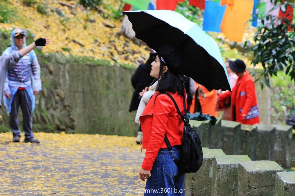 mmexport1541593743059