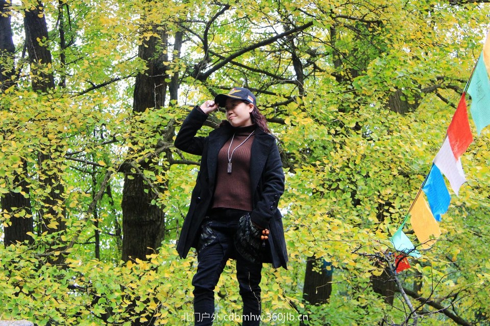 mmexport1541593665931