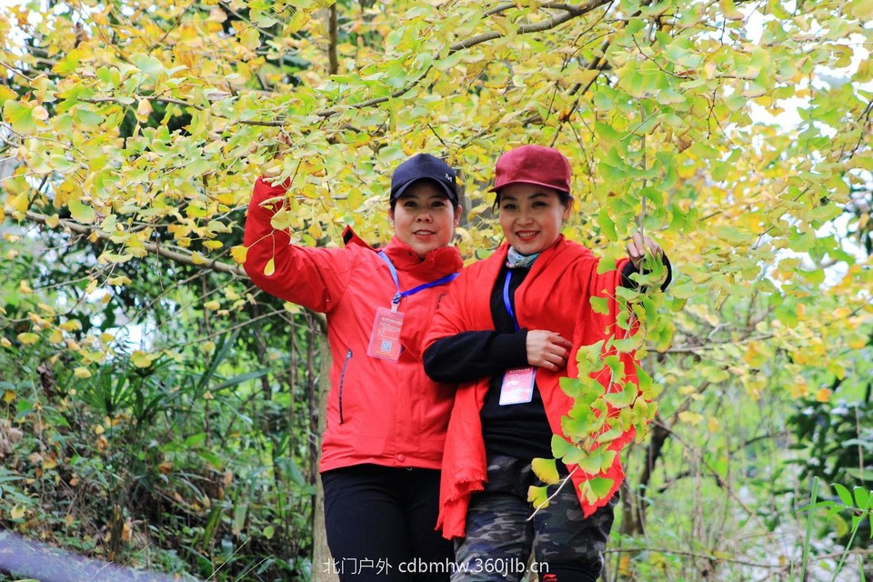 mmexport1541594822483