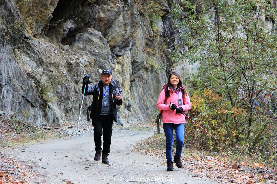 mmexport1541900866441