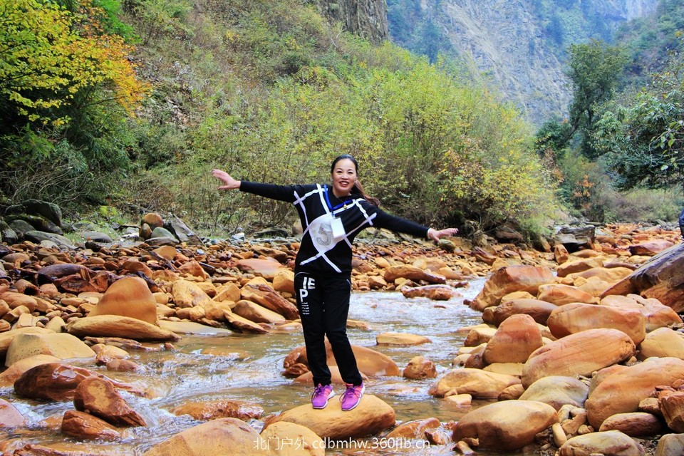 mmexport1541900772151