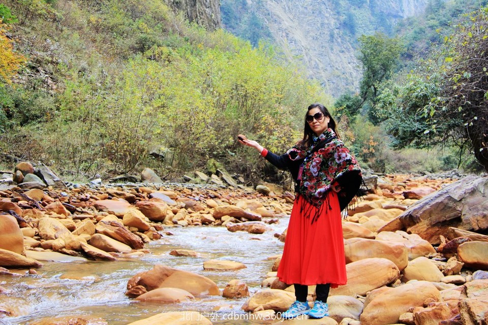 mmexport1541900752177