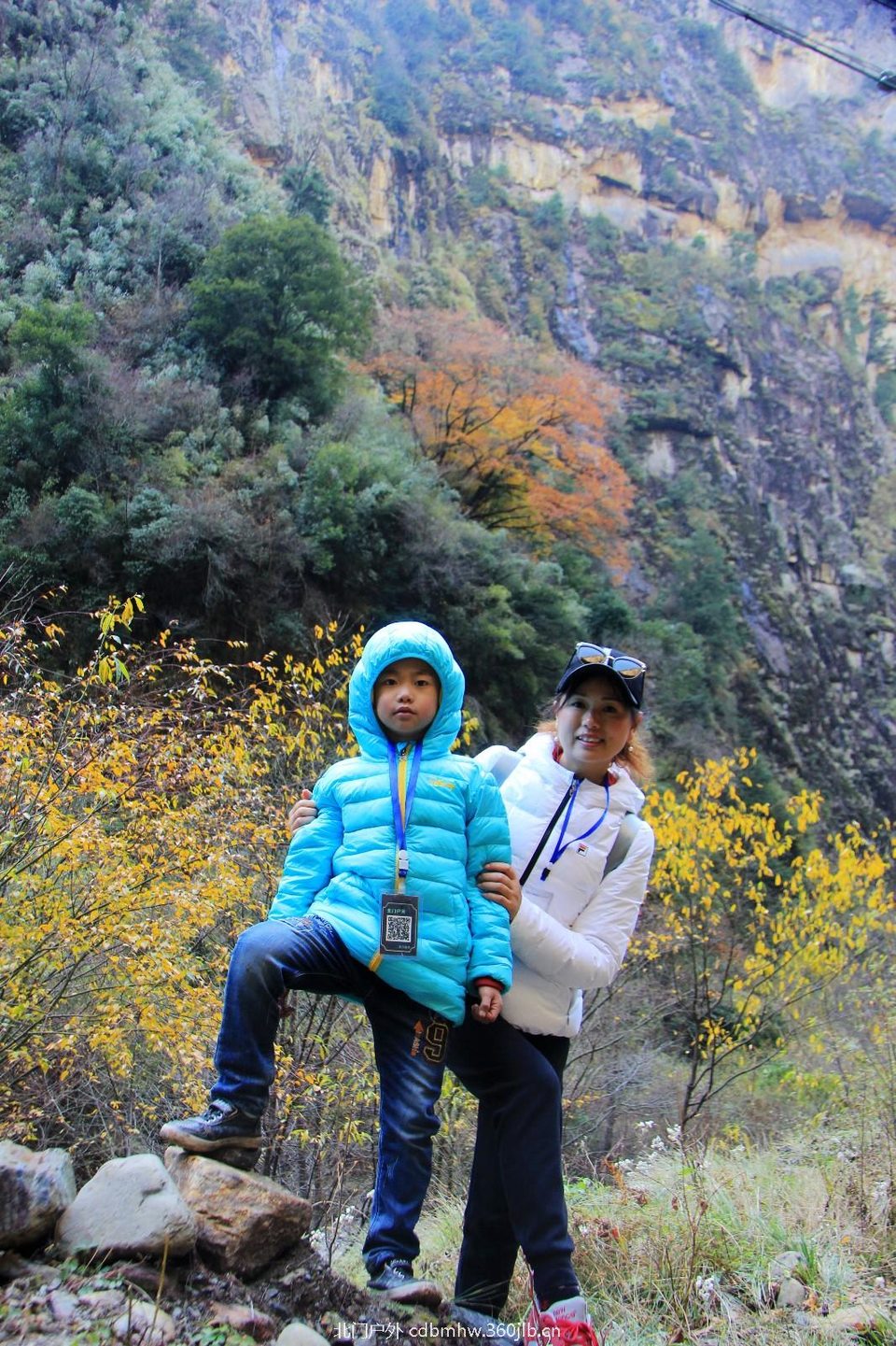 mmexport1541900623985