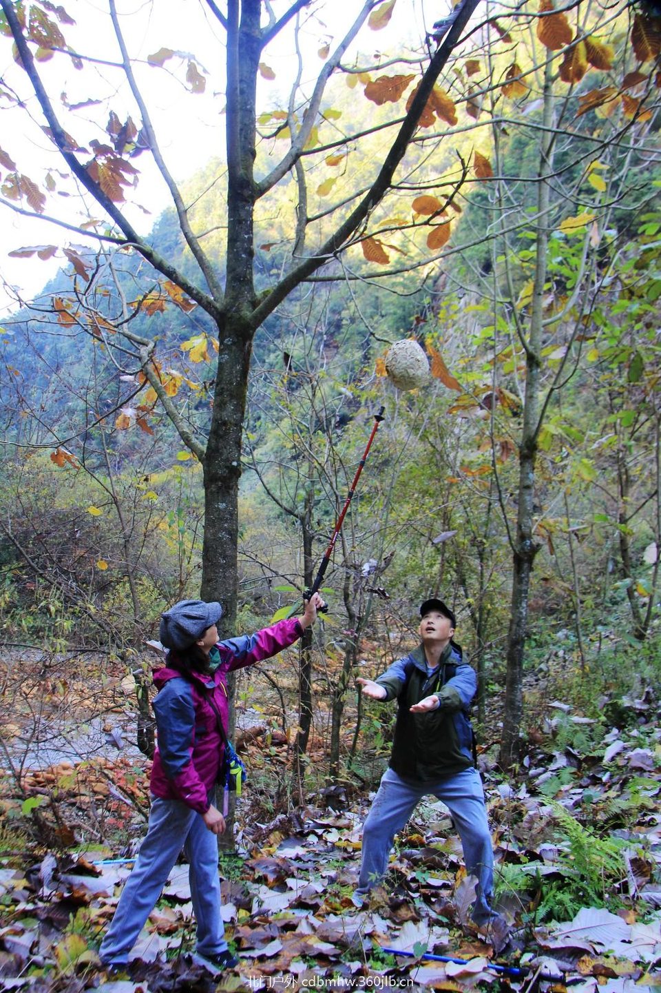 mmexport1541900542270