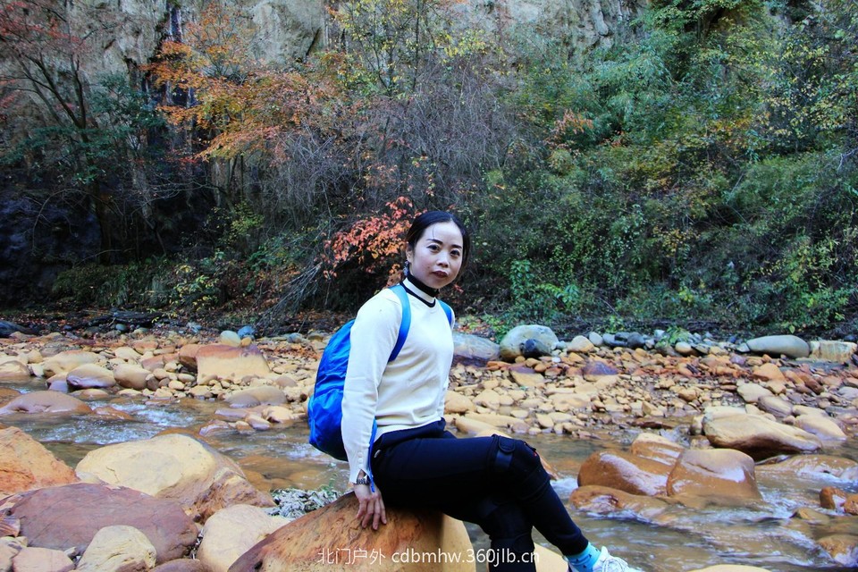 mmexport1541900531094