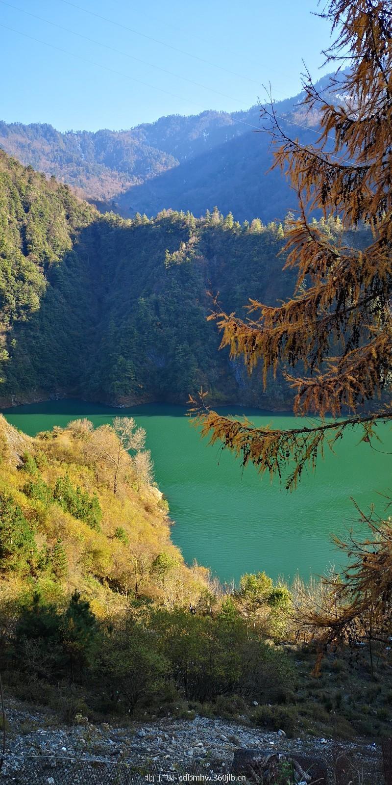 mmexport1541895234359