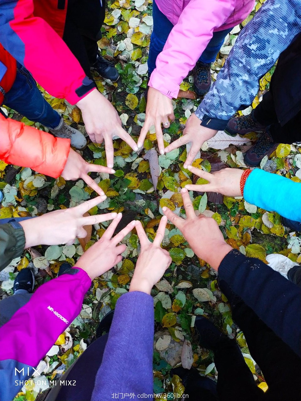 mmexport1541847330230