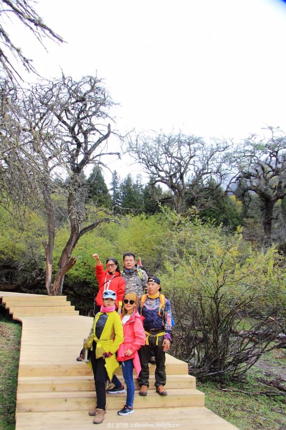 mmexport1541396513010