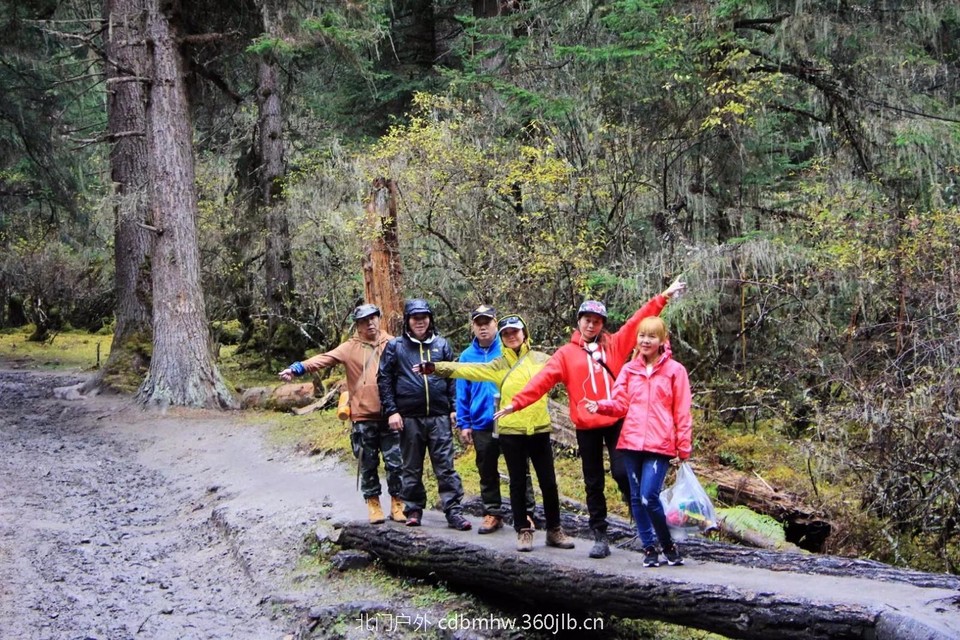 mmexport1541396494613