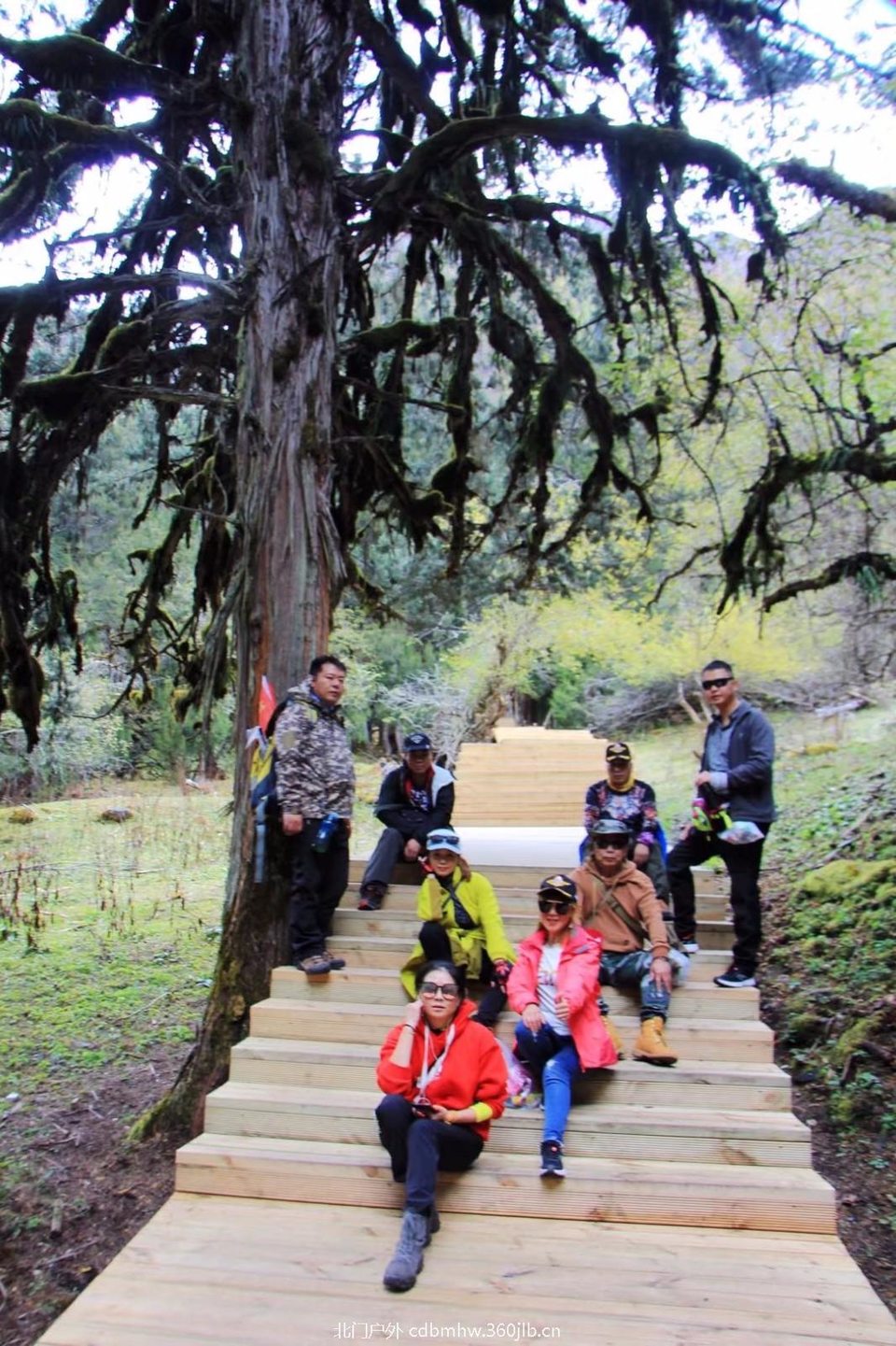 mmexport1541396501870