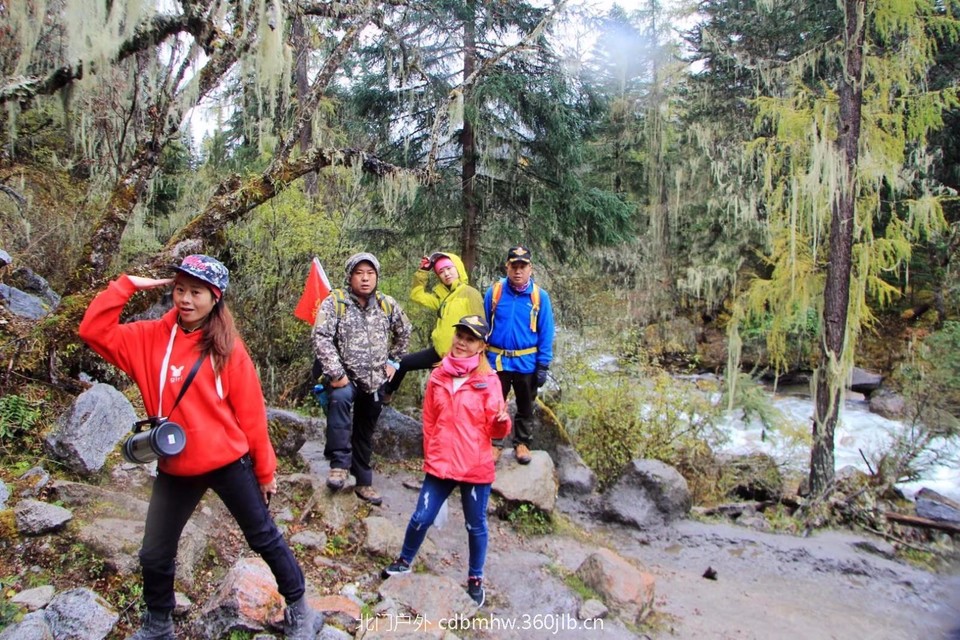 mmexport1541396467077