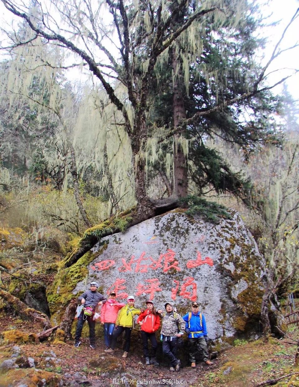 mmexport1541396474487