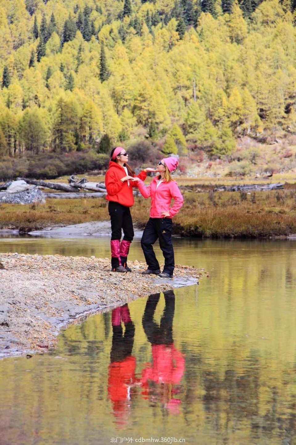 mmexport1541396354056