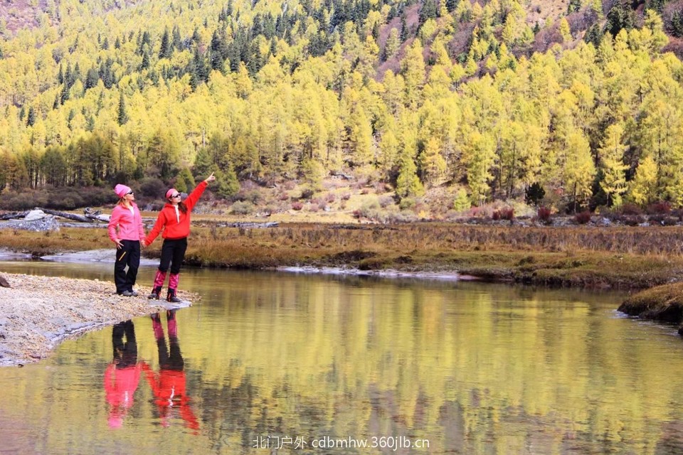 mmexport1541396315210