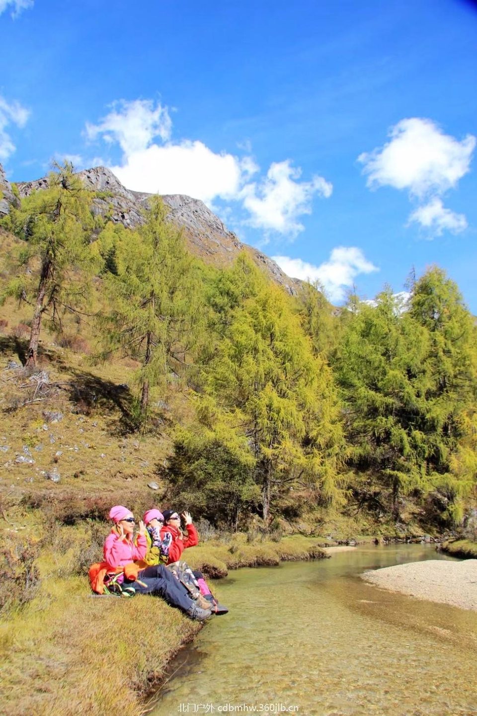 mmexport1541396288153